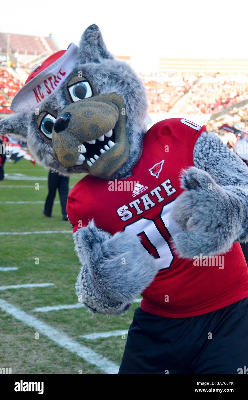 10 novembre 2012 - Raleigh, North Carolina, Stati Uniti - North Carolina State Wolfpack durante la partita di oggi. NC State sconfigge Wake Forest 37-6 al Carter-Finley Stadium di Raleigh, North Carolina. (Immagine di credito: © Anthony Barham/ZUMAPRESS.com) Foto Stock