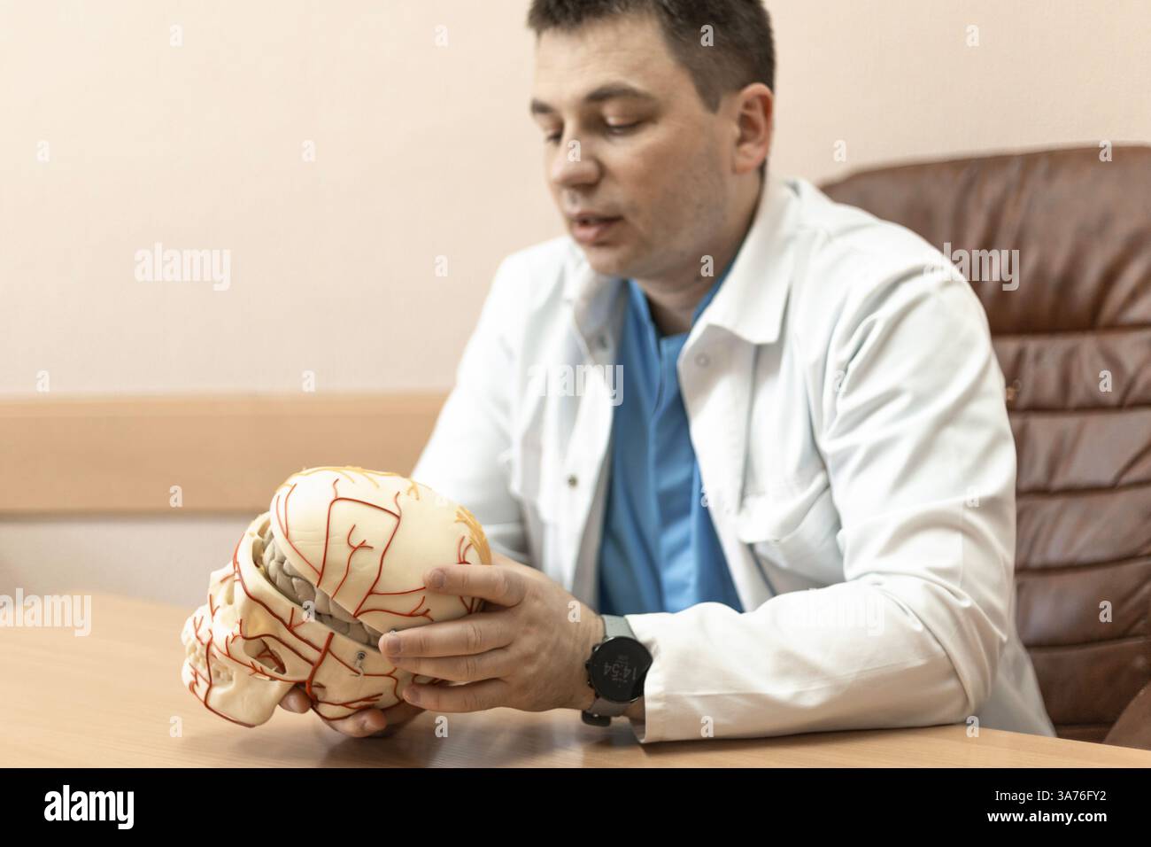 medico maschile che tiene un modello di cranio umano con cervello Foto Stock