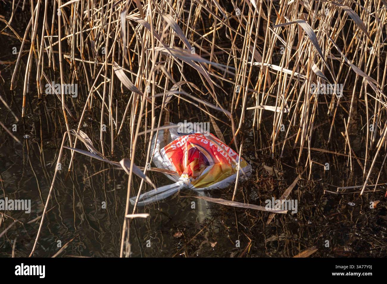 Sacchetto galleggiante per rifiuti in plastica nel distretto Munkkiniemi di Helsinki, Finlandia Foto Stock
