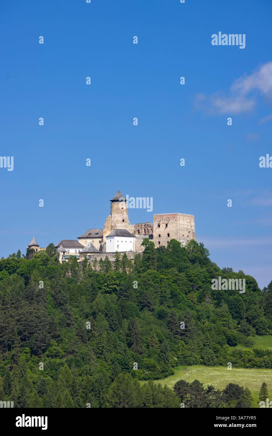 Castello di Stara Lubovna, regione di Presov, Slovacchia Foto Stock