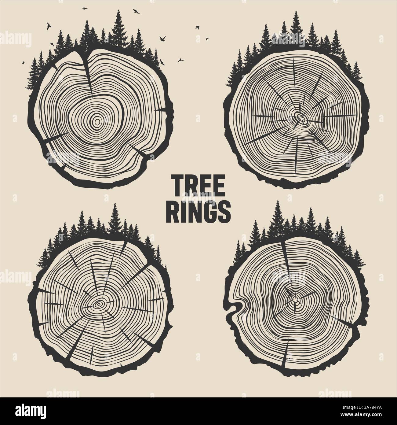 Tronco di alberi rotondi taglia con alberi, foreste e uccelli. Fette di pino o quercia segate, legname. Sega tagliava legname, legno. Struttura in legno marrone con anelli ad albero. Mano Illustrazione Vettoriale