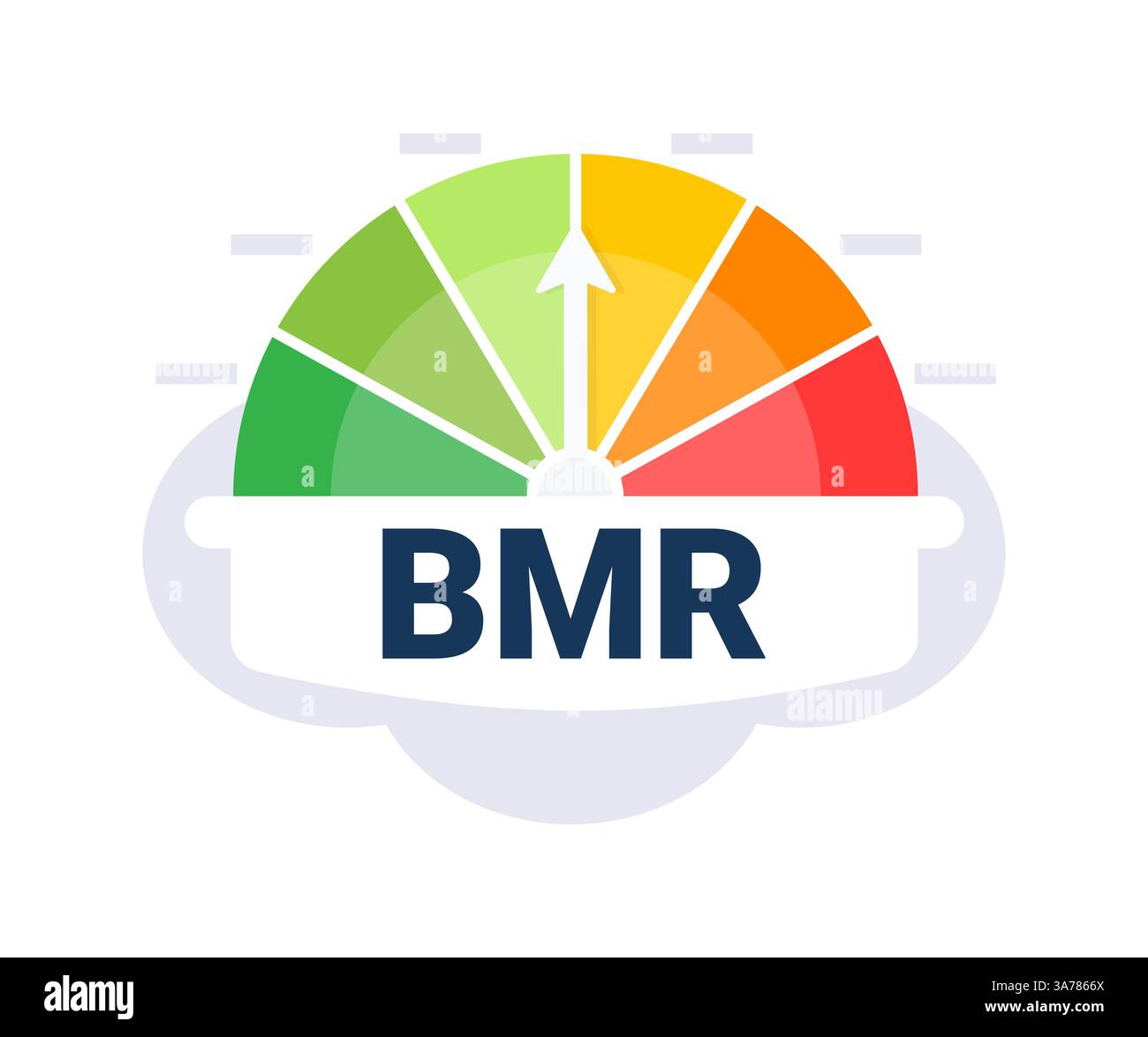 Illustrazione variopinta del vettore indicatore BMR del tasso metabolico basale con zone distinte Illustrazione Vettoriale