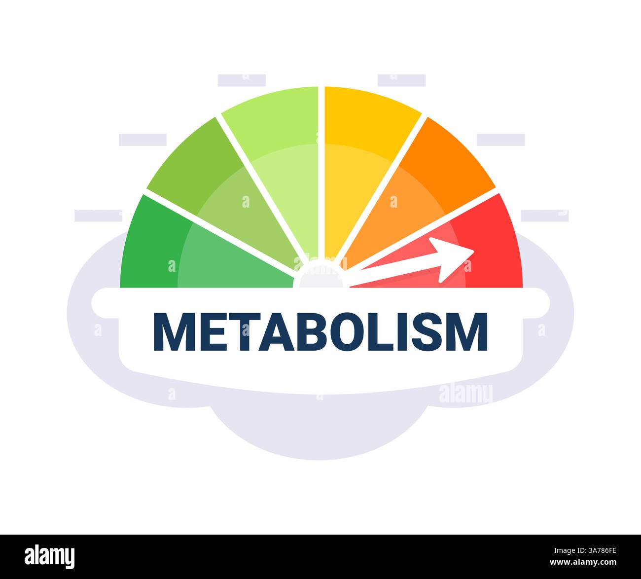 Illustrazione vettoriale della scala di valutazione della velocità metabolica con zone con indicatore del metabolismo codificato a colori Illustrazione Vettoriale