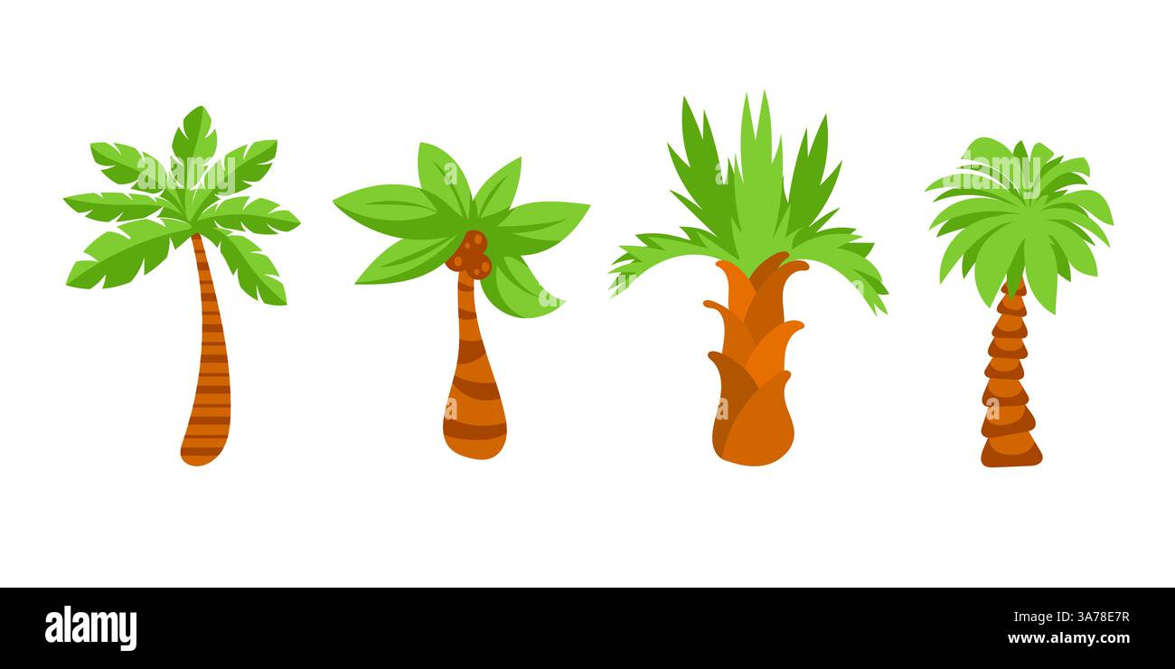 Palma tropicale. Alberi di cocco tropicali su sfondo bianco. Illustrazione Vettoriale