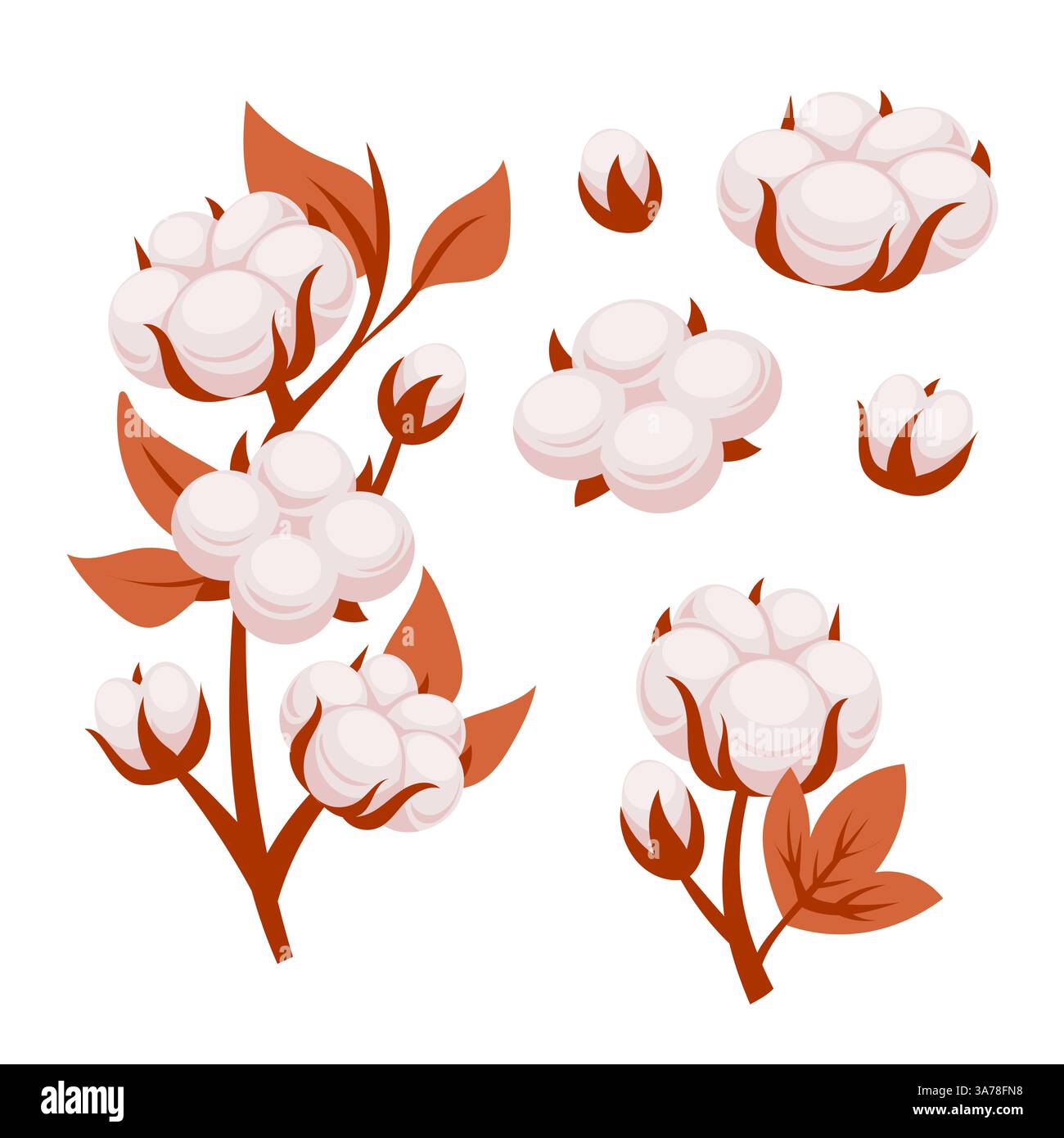 Rami di piante di cotone con fiori in fiore con morbidi e soffici gusci utilizzati per la produzione di tessuti Illustrazione Vettoriale