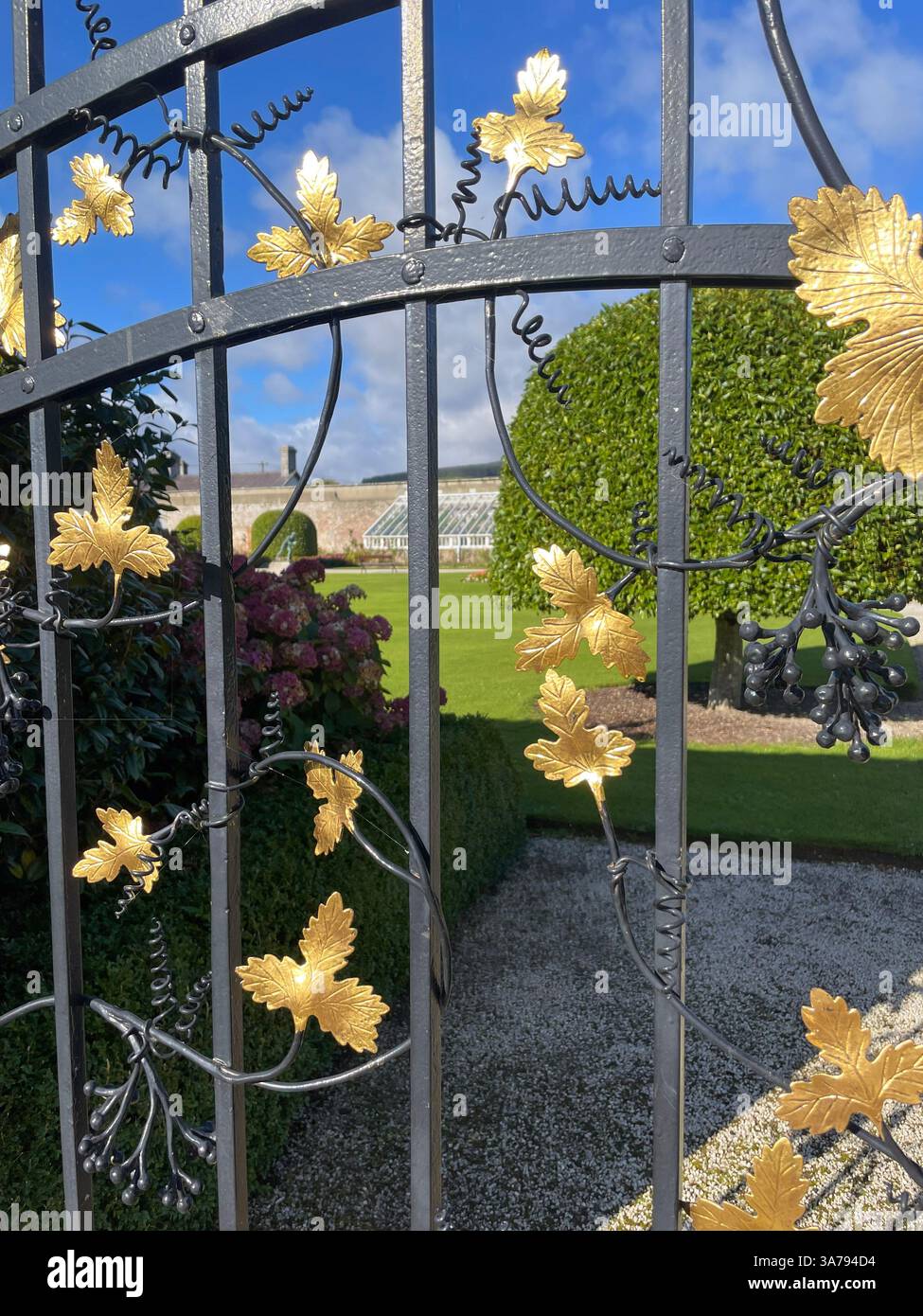 Cancello artistico in ferro battuto con dettagli in foglia d'oro in un giardino irlandese in una giornata di sole. Foto Stock