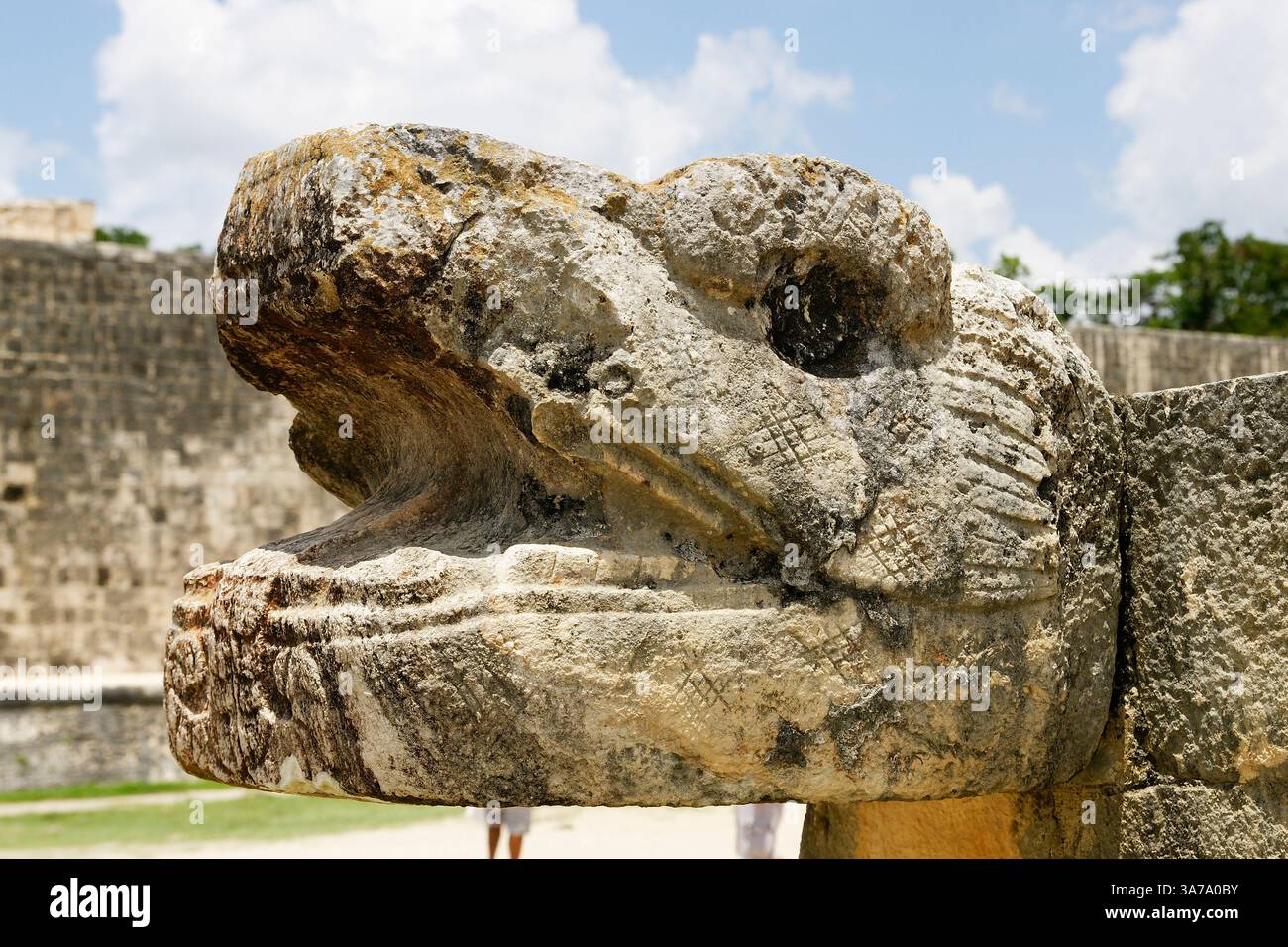 Messico. Yucatan. Chiche Itza. Testa di serpente scolpita in pietra con pareti del campo da gioco. Foto Stock