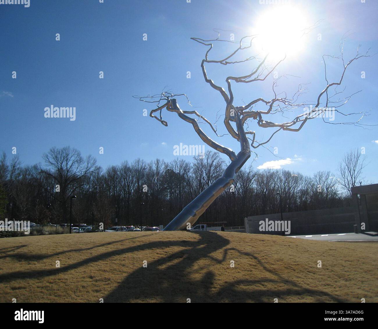 17 marzo 2013 - Bentonville, AR, USA - ''Yield'' è un albero in acciaio inossidabile, metallo e tubi creato dall'artista Roxy Paine. Il pezzo si trova all'ingresso del Crystal Bridges Museum of American Art a Bentonville, Arkansas. (Immagine di credito: © Samantha Feuss/MCT/ZUMAPRESS.com) Foto Stock