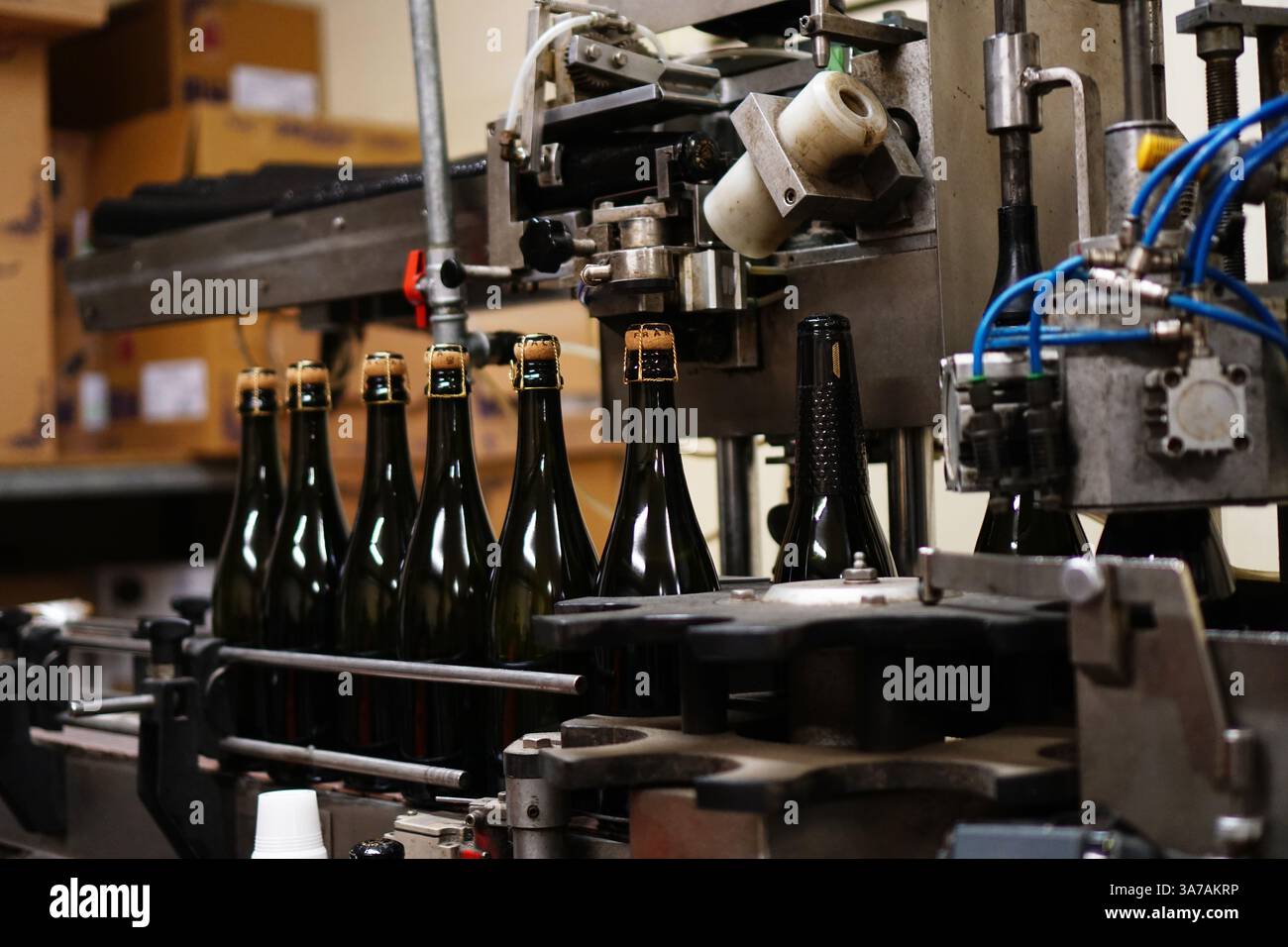 Le bottiglie di vino si spostano attraverso una macchina di imbottigliamento automatizzata in un'azienda vinicola, illustrando il confezionamento industriale del vino Foto Stock