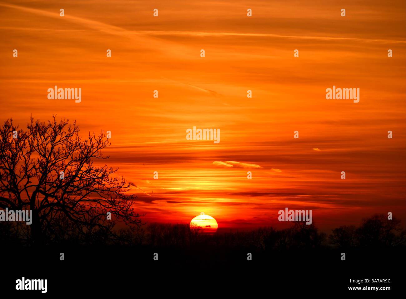 Marzo sunset Foto Stock