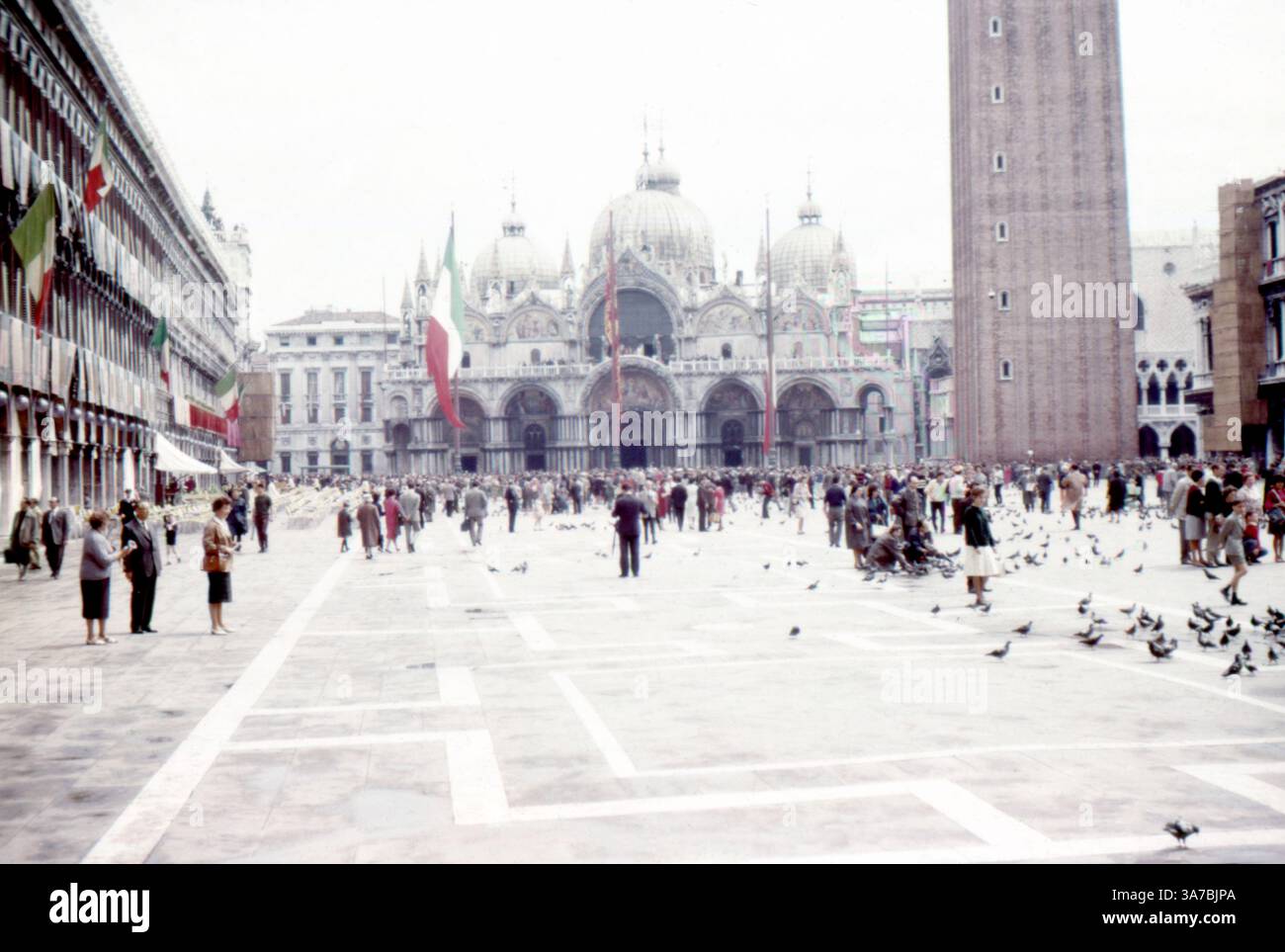 Piazza San Marco a Venezia, Italia, fotografata nel luglio 1965. Questa vivace scena cattura l'iconica facciata della basilica di San Marco con le sue cupole ornate, l'imponente Campanile di San Marco e la folla di visitatori che si mescolano tra piccioni nella piazza. Le bandiere italiane sono appese agli edifici vicini, aggiungendo un fascino festoso del dopoguerra. L'immagine, scattata su pellicola, riflette l'atmosfera vibrante e l'architettura classica della Venezia del 1960, offrendo uno sguardo nostalgico ai viaggi europei della metà del secolo. Foto Stock