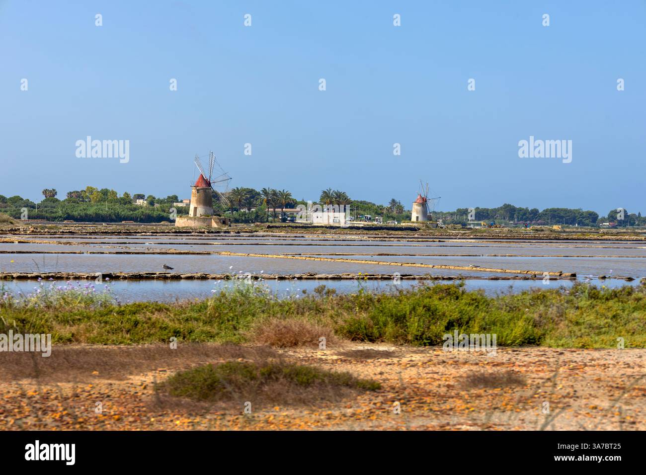 Riserva naturale orientata Saline di Trapani e Paceco, provincia di Trapani, Sicilia, italia Foto Stock
