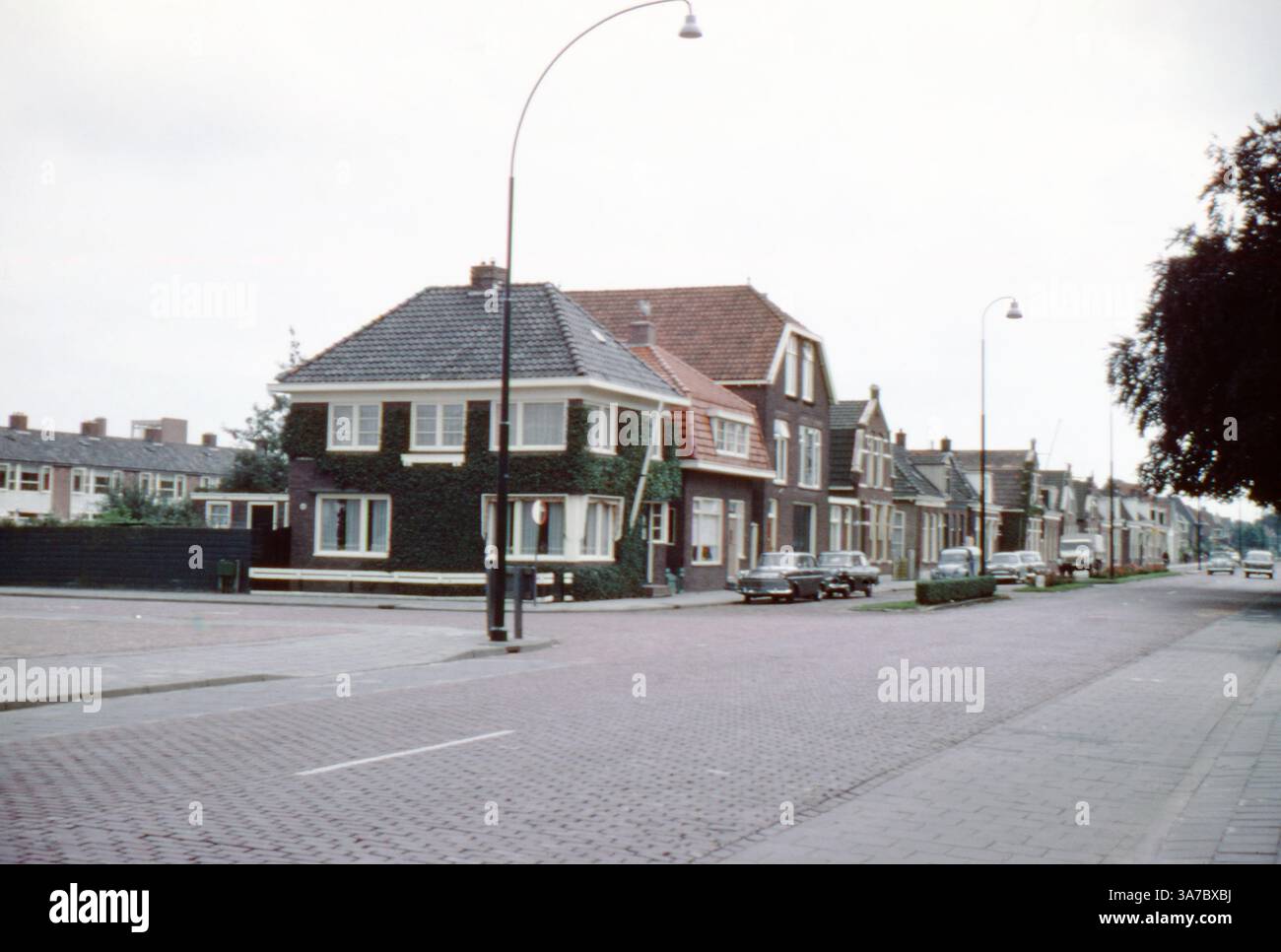 Una tranquilla strada residenziale di Amsterdam, Paesi Bassi, catturata negli anni '1960 su pellicola da 35mm. Foto Stock