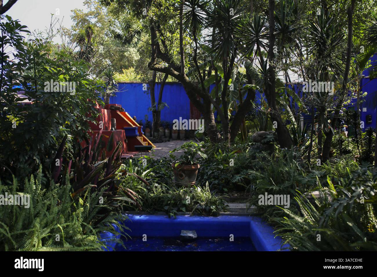 Città del Messico, Messico. 14 marzo 2025. Il giardino tropicale della Casa Azul è raffigurato. La Casa Azul (Casa Blu) è il luogo di nascita della pittrice Frida Kahlo, dove ha vissuto anche con suo marito, il muralista Diego Rivera. La casa fu costruita nel 1904 nel quartiere di Coyoacán e convertita in un museo dedicato alla vita e al lavoro di Frida Kahlo nel 1958. È uno dei musei più visitati di città del Messico con circa 500.000 visitatori ogni anno. (Foto di Apolline Guillerot-Malick/SOPA Images/Sipa USA) credito: SIPA USA/Alamy Live News Foto Stock