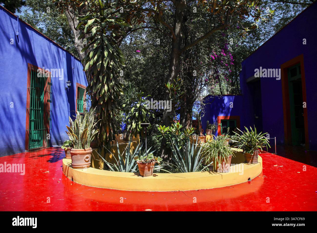 Città del Messico, Messico. 14 marzo 2025. Il giardino tropicale della Casa Azul è raffigurato. La Casa Azul (Casa Blu) è il luogo di nascita della pittrice Frida Kahlo, dove ha vissuto anche con suo marito, il muralista Diego Rivera. La casa fu costruita nel 1904 nel quartiere di Coyoacán e convertita in un museo dedicato alla vita e al lavoro di Frida Kahlo nel 1958. È uno dei musei più visitati di città del Messico con circa 500.000 visitatori ogni anno. (Foto di Apolline Guillerot-Malick/SOPA Images/Sipa USA) credito: SIPA USA/Alamy Live News Foto Stock
