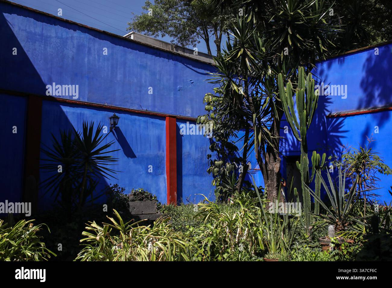 Città del Messico, Messico. 14 marzo 2025. Il giardino tropicale della Casa Azul è raffigurato. La Casa Azul (Casa Blu) è il luogo di nascita della pittrice Frida Kahlo, dove ha vissuto anche con suo marito, il muralista Diego Rivera. La casa fu costruita nel 1904 nel quartiere di Coyoacán e convertita in un museo dedicato alla vita e al lavoro di Frida Kahlo nel 1958. È uno dei musei più visitati di città del Messico con circa 500.000 visitatori ogni anno. (Foto di Apolline Guillerot-Malick/SOPA Images/Sipa USA) credito: SIPA USA/Alamy Live News Foto Stock