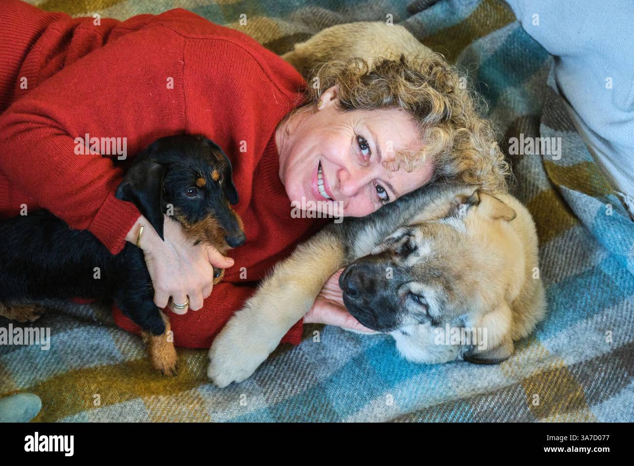 Donna anziana felice che si accoccolerà con i suoi due cuccioli, un dachshund e un pastore caucasico, mentre si stende su una coperta accogliente Foto Stock
