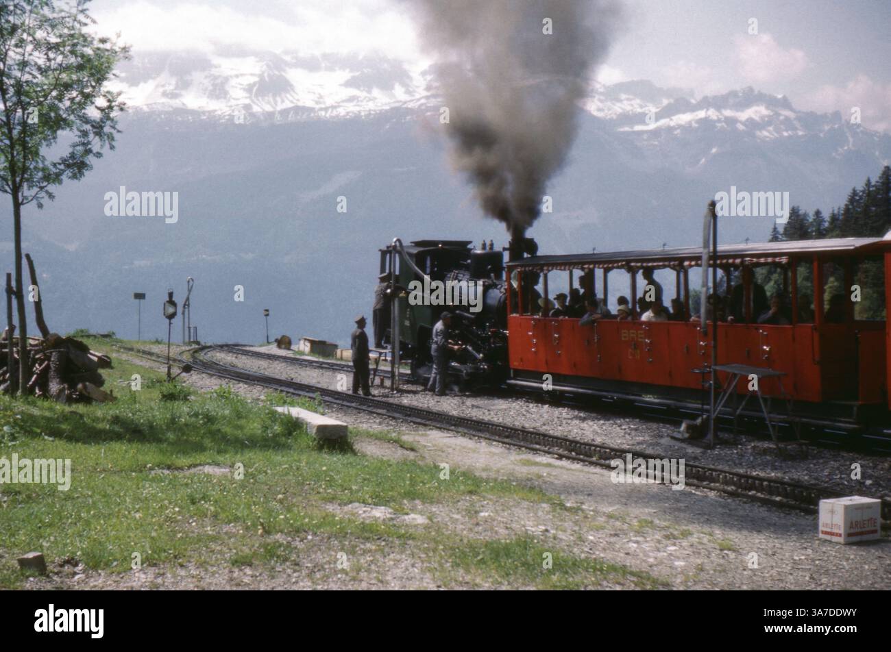 Una locomotiva a vapore della ferrovia Brienz Rothorn sale verso Rothorn Kulm nell'Oberland Bernese, in Svizzera. Scattata nel giugno 1961, questa immagine mostra una carrozza passeggeri aperta piena di turisti, mentre i pennacchi di fumo si innalzano su uno sfondo alpino spettacolare. Foto Stock