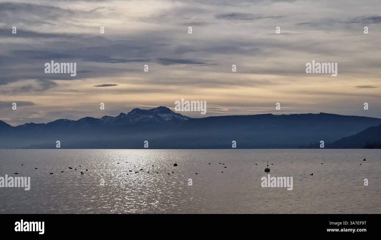 Horizont sul lago invernale - Immagine stock catturata con smartphone
