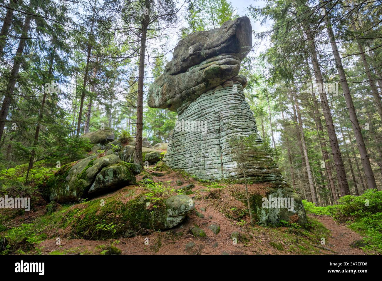 Formazione geologica di roccia a forma di fungo di pietra. Parco Nazionale delle Montagne di Stolowe, bassa Slesia, Polonia Foto Stock