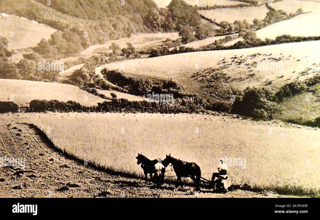 Immagini della Gran Bretagna negli anni '1940 -- 1940 , raccolta con cavalli nella Badgworthy Valley, Exmoor, Regno Unito . La valle è associata al libro "Lorna Doone" Foto Stock