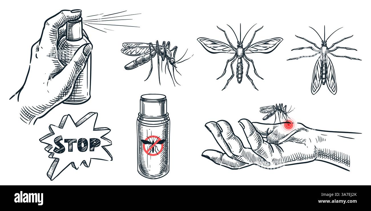 Elementi di protezione dalle zanzare isolati su sfondo bianco. Illustrazione dello schizzo disegnato a mano vettoriale. Usare repellente per succhiare il sangue insetto p Illustrazione Vettoriale