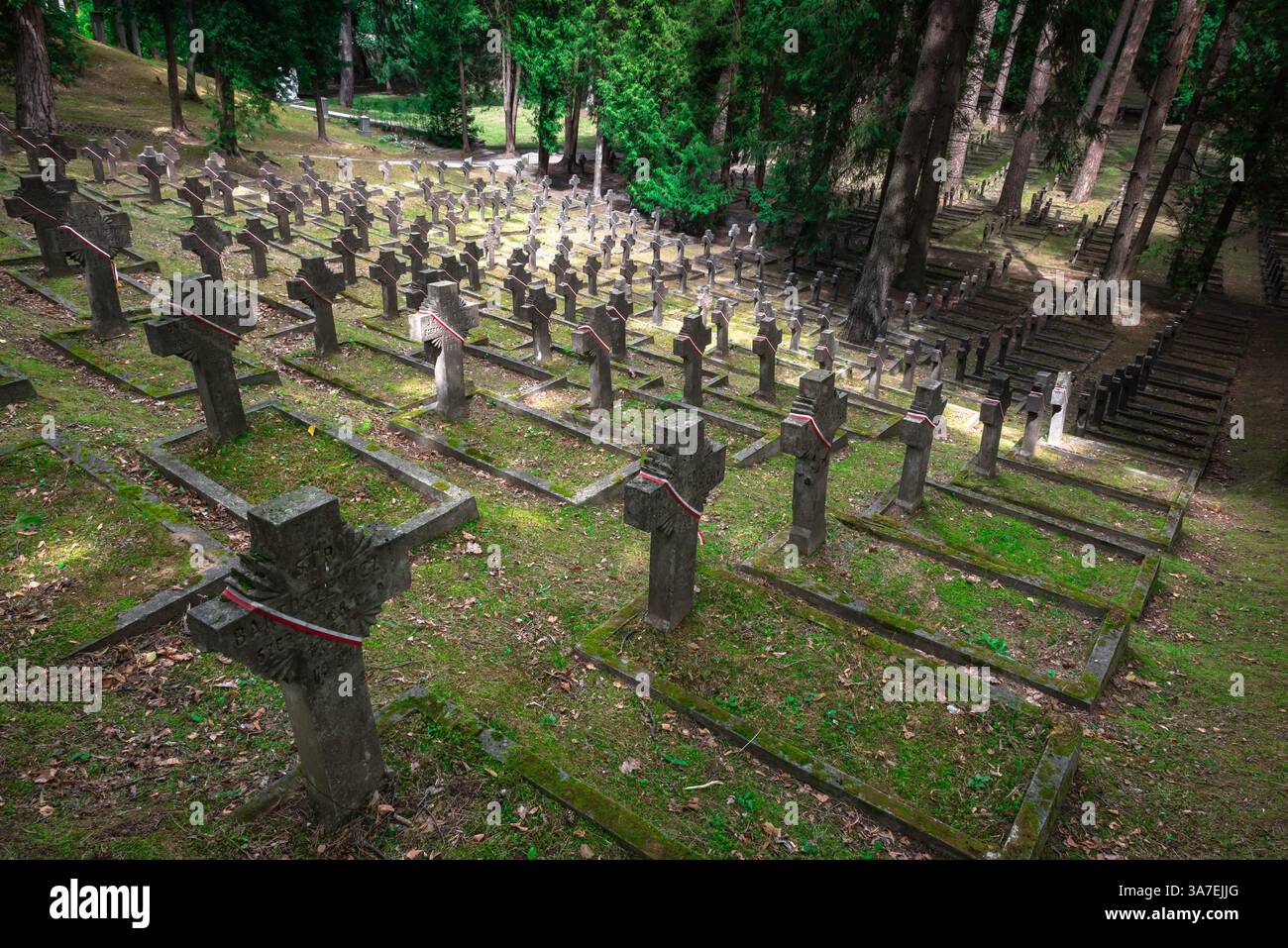 Cimitero militare, vista della collina nel cimitero di Antakalnis, Lituania, contenente le tombe di centinaia di soldati polacchi morti tra il 1919-1920 Foto Stock