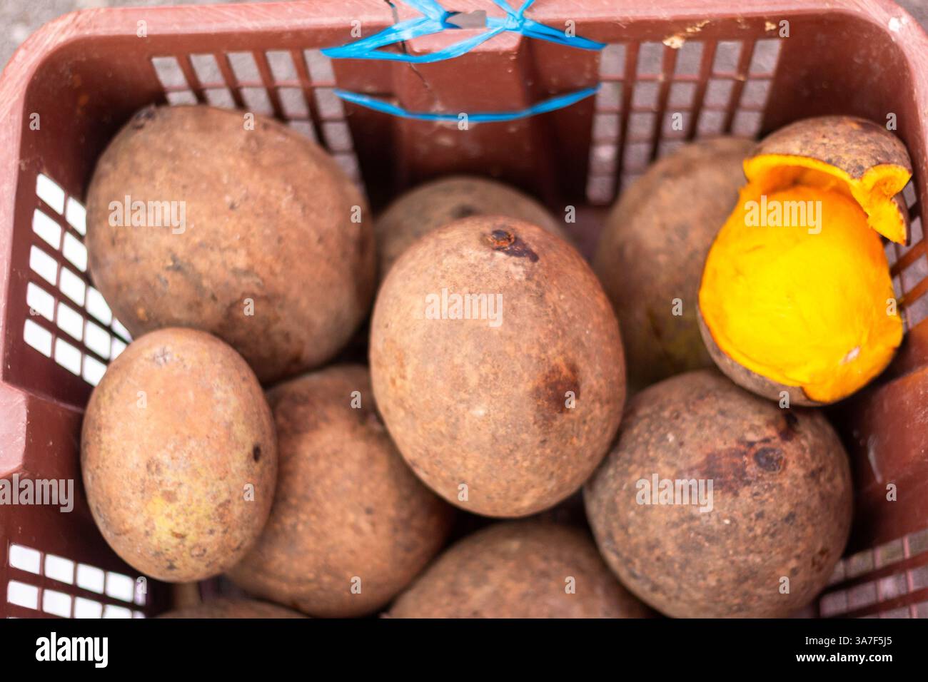 Una pila di manghi selvatici bambangan con pelle marrone ruvida esposta in vendita in un mercato locale a Kuching, Malesia Foto Stock