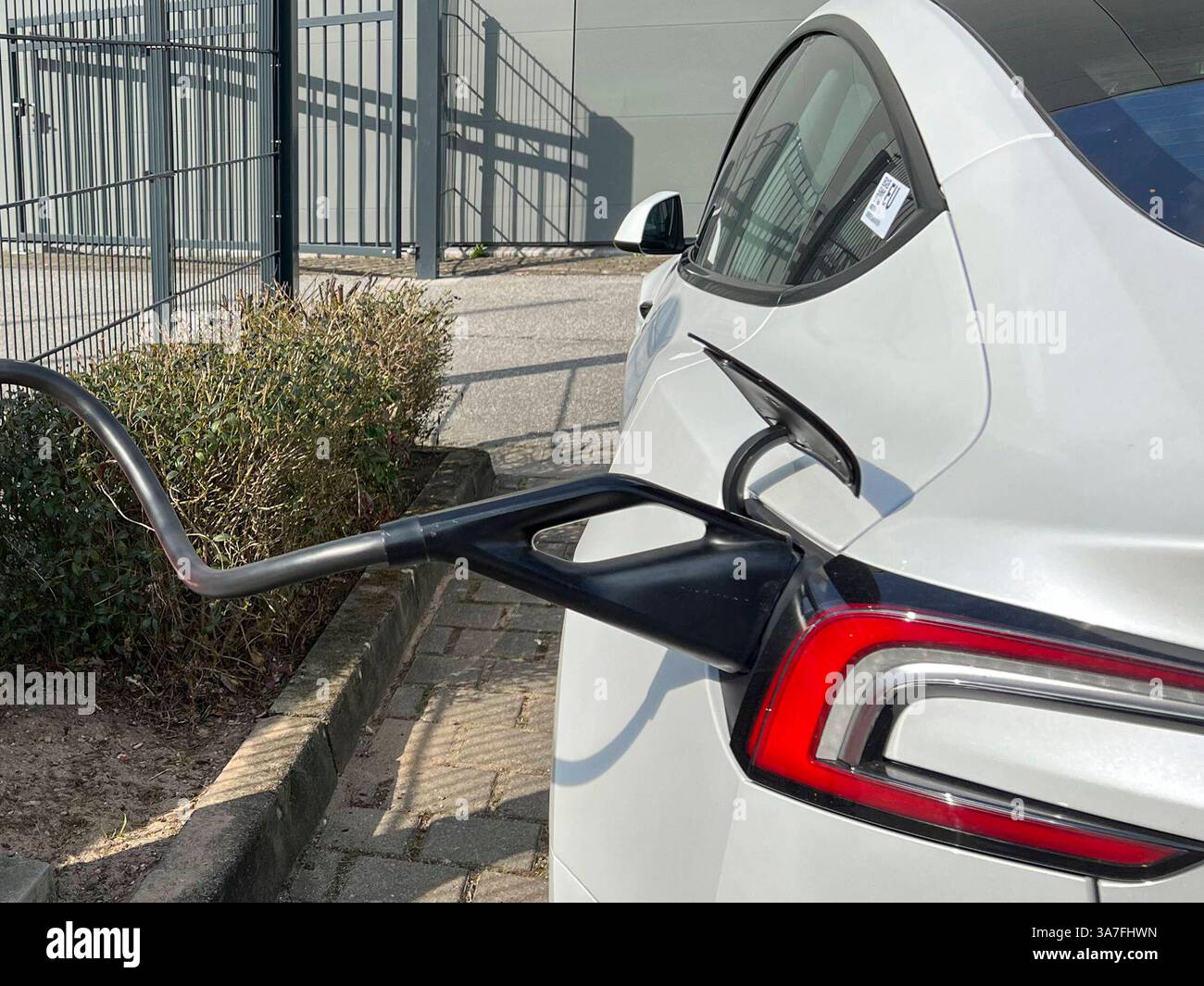 Weisser Tesla PKW an der Ladestation zum Strom tanken mit Kabel und Stecker Logo an einer Saeule auf dem Parkplatz Tesla e Auto verkauf Autohaus ad Amburgo Aussenansicht Tag - Hamburg Maerz 2025 - Tesla, Inc. Boersennotierter US-amerikanischer Autohersteller mit Sitz ad Austin, der neben Elektroautos auch Batteriespeicerspeicher, Photovoltakanischer Speikerert lagerke. Elon Musk ist der Direktor CEO Hamburg Deutschland *** auto Tesla bianca presso la stazione di ricarica per il rifornimento di energia elettrica con cavo e logo spina su un pilastro nel parcheggio Tesla e concessionaria auto di vendita in Foto Stock