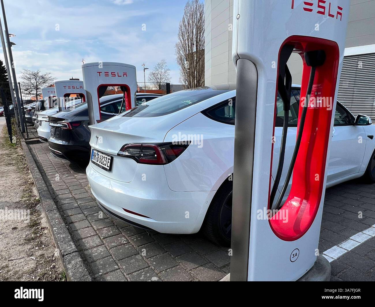 Weisser Tesla PKW an der Ladestation zum Strom tanken mit Kabel und Stecker Logo an einer Saeule auf dem Parkplatz Tesla e Auto verkauf Autohaus ad Amburgo Aussenansicht Tag - Hamburg Maerz 2025 - Tesla, Inc. Boersennotierter US-amerikanischer Autohersteller mit Sitz ad Austin, der neben Elektroautos auch Batteriespeicerspeicher, Photovoltakanischer Speikerert lagerke. Elon Musk ist der Direktor CEO Hamburg Deutschland *** auto Tesla bianca presso la stazione di ricarica per il rifornimento di energia elettrica con cavo e logo spina su un pilastro nel parcheggio Tesla e concessionaria auto di vendita in Foto Stock