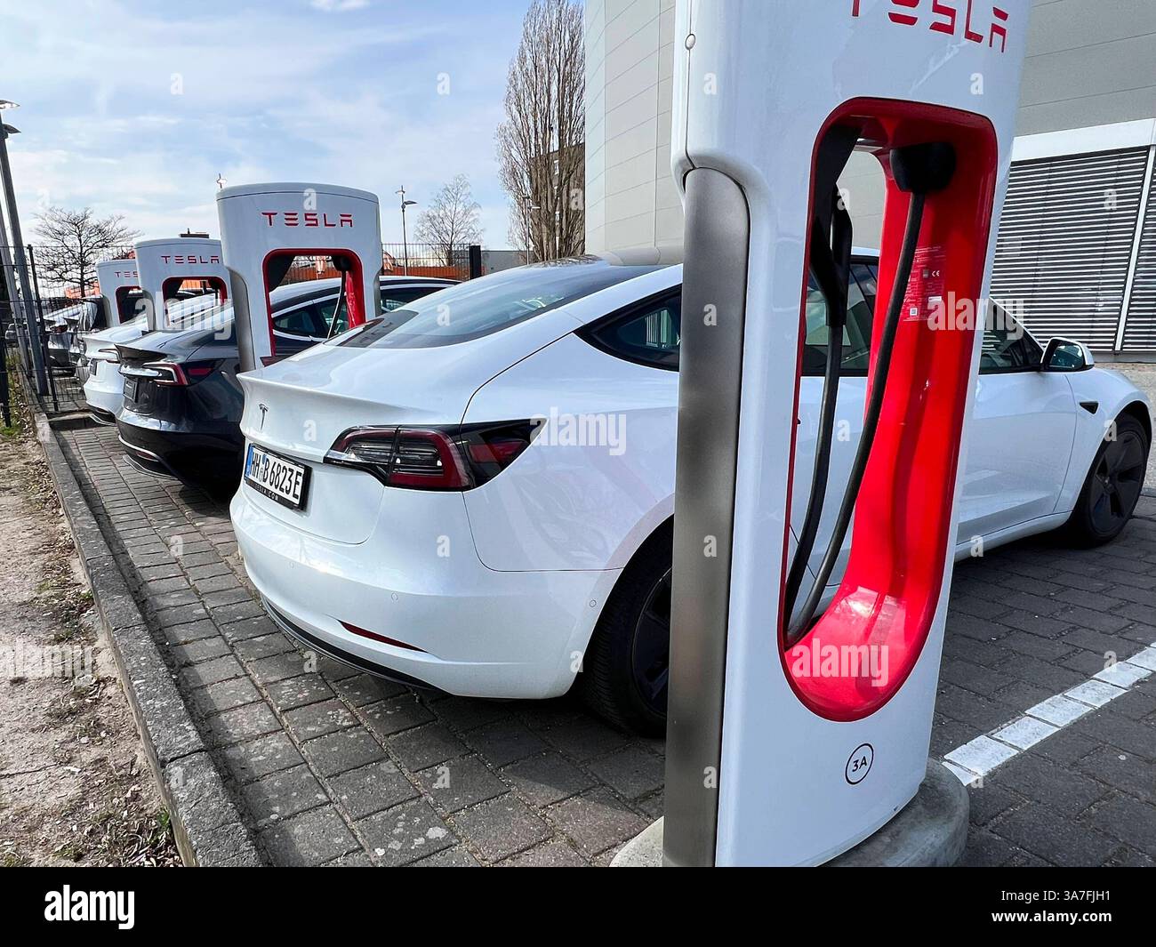 Weisser Tesla PKW an der Ladestation zum Strom tanken mit Kabel und Stecker Logo an einer Saeule auf dem Parkplatz Tesla e Auto verkauf Autohaus ad Amburgo Aussenansicht Tag - Hamburg Maerz 2025 - Tesla, Inc. Boersennotierter US-amerikanischer Autohersteller mit Sitz ad Austin, der neben Elektroautos auch Batteriespeicerspeicher, Photovoltakanischer Speikerert lagerke. Elon Musk ist der Direktor CEO Hamburg Deutschland *** auto Tesla bianca presso la stazione di ricarica per il rifornimento di energia elettrica con cavo e logo spina su un pilastro nel parcheggio Tesla e concessionaria auto di vendita in Foto Stock