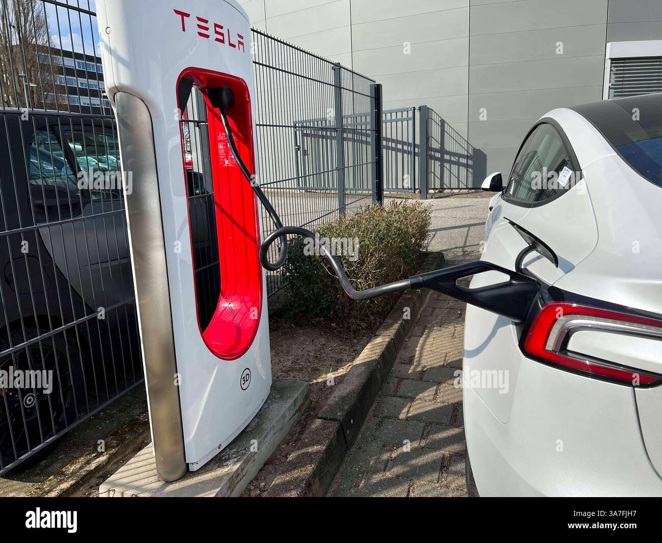 Weisser Tesla PKW an der Ladestation zum Strom tanken mit Kabel und Stecker Logo an einer Saeule auf dem Parkplatz Tesla e Auto verkauf Autohaus ad Amburgo Aussenansicht Tag - Hamburg Maerz 2025 - Tesla, Inc. Boersennotierter US-amerikanischer Autohersteller mit Sitz ad Austin, der neben Elektroautos auch Batteriespeicerspeicher, Photovoltakanischer Speikerert lagerke. Elon Musk ist der Direktor CEO Hamburg Deutschland *** auto Tesla bianca presso la stazione di ricarica per il rifornimento di energia elettrica con cavo e logo spina su un pilastro nel parcheggio Tesla e concessionaria auto di vendita in Foto Stock