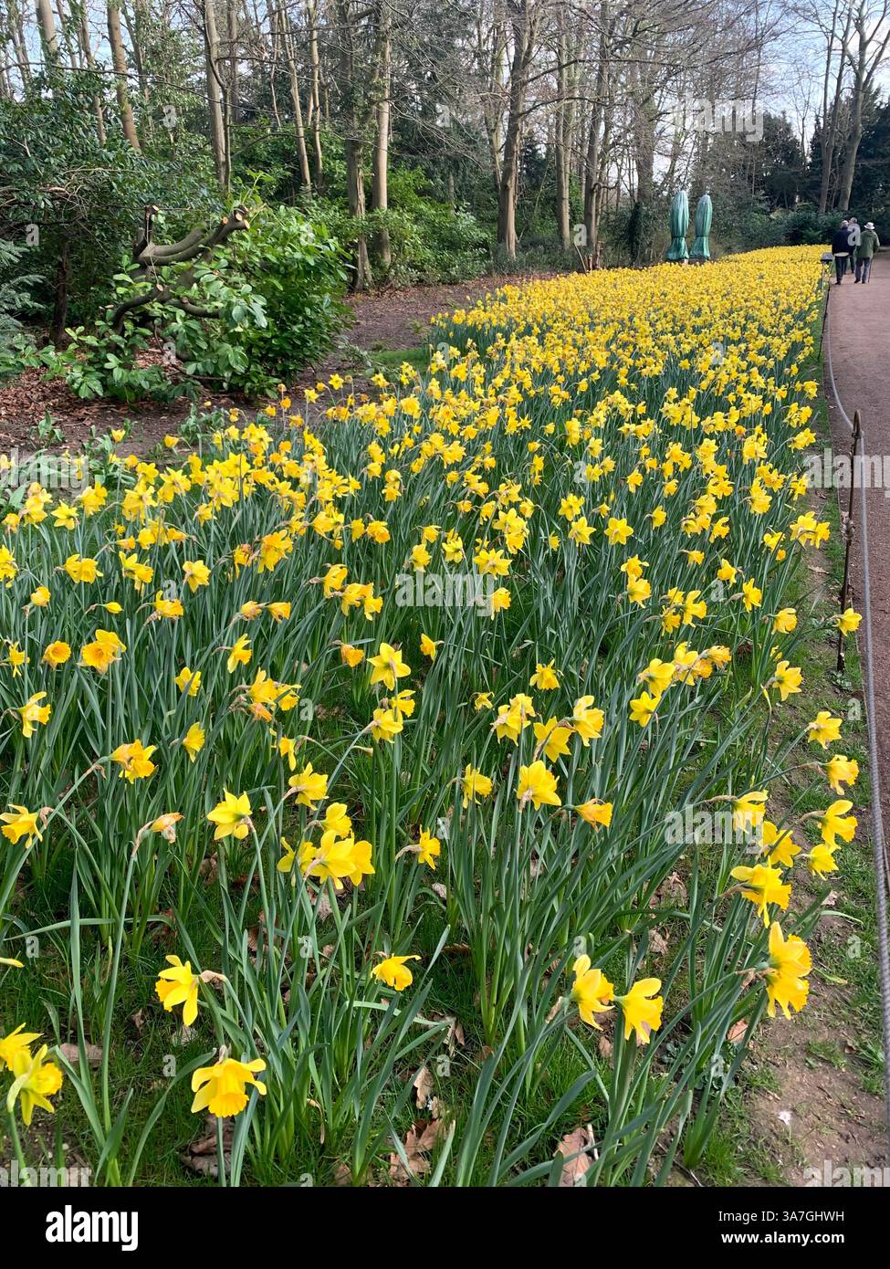 Anglesey Abbey giardini giardino Cambridgeshire Life Weather National Trust giornata in famiglia tempo libero in campagna inglese bel posto passeggiate all'aperto - Immagine stock catturata con smartphone