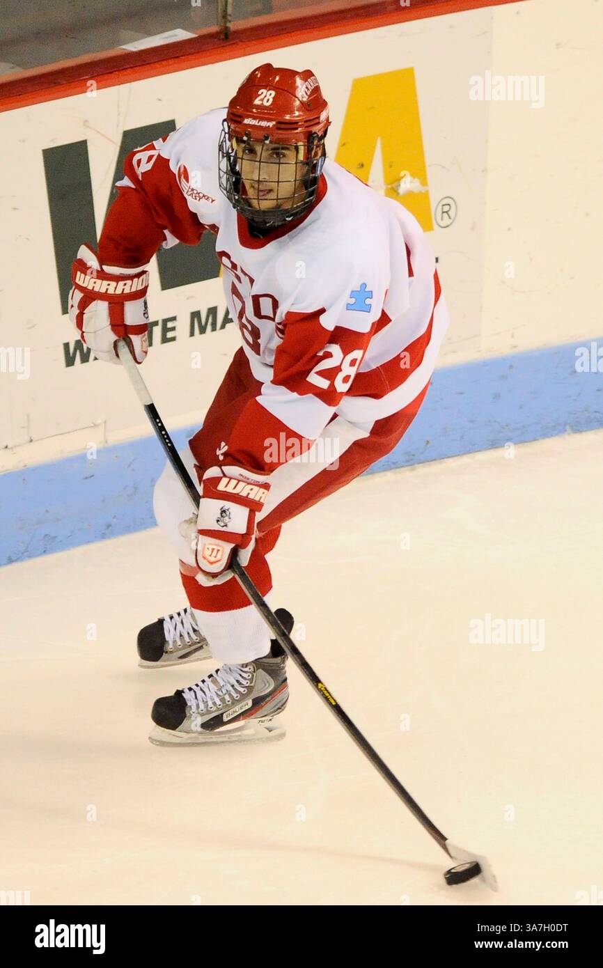 24 novembre 2012 - Boston, Massachusetts, USA - Boston University Terriers Forward Sahir Gill (28) durante la partita di hockey NCAA tra San Lorenzo e Boston University giocata all'Agganis Arena di Boston Massachusetts. Eric Canha/CSM(immagine di credito: © Eric Canha/Cal Sport Media/ZUMAPRESS.com) Foto Stock