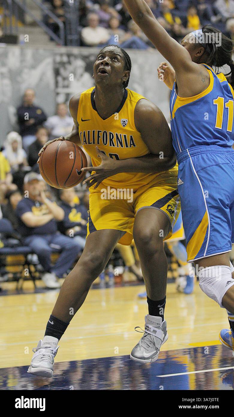 20 gennaio 2013 - Berkeley, CA, Stati Uniti d'America - 20 gennaio 2013 durante la partita di pallacanestro femminile NCAA tra Università della California Los Angeles Brunis vs California Golden Bears,33 C Talia Caldwell di Cal Battle in the Paint and Score presso l'Hass Pavilion Berkeley California (immagine di credito: © Thurman James/Cal Sport Media/ZUMAPRESS.com) Foto Stock