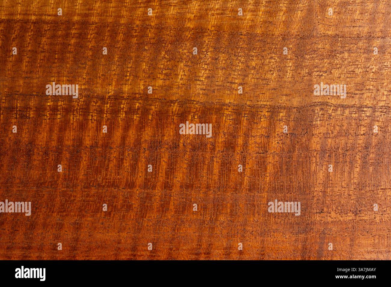 Vista ravvicinata macro di sfondo in materiale legno vuoto Foto Stock