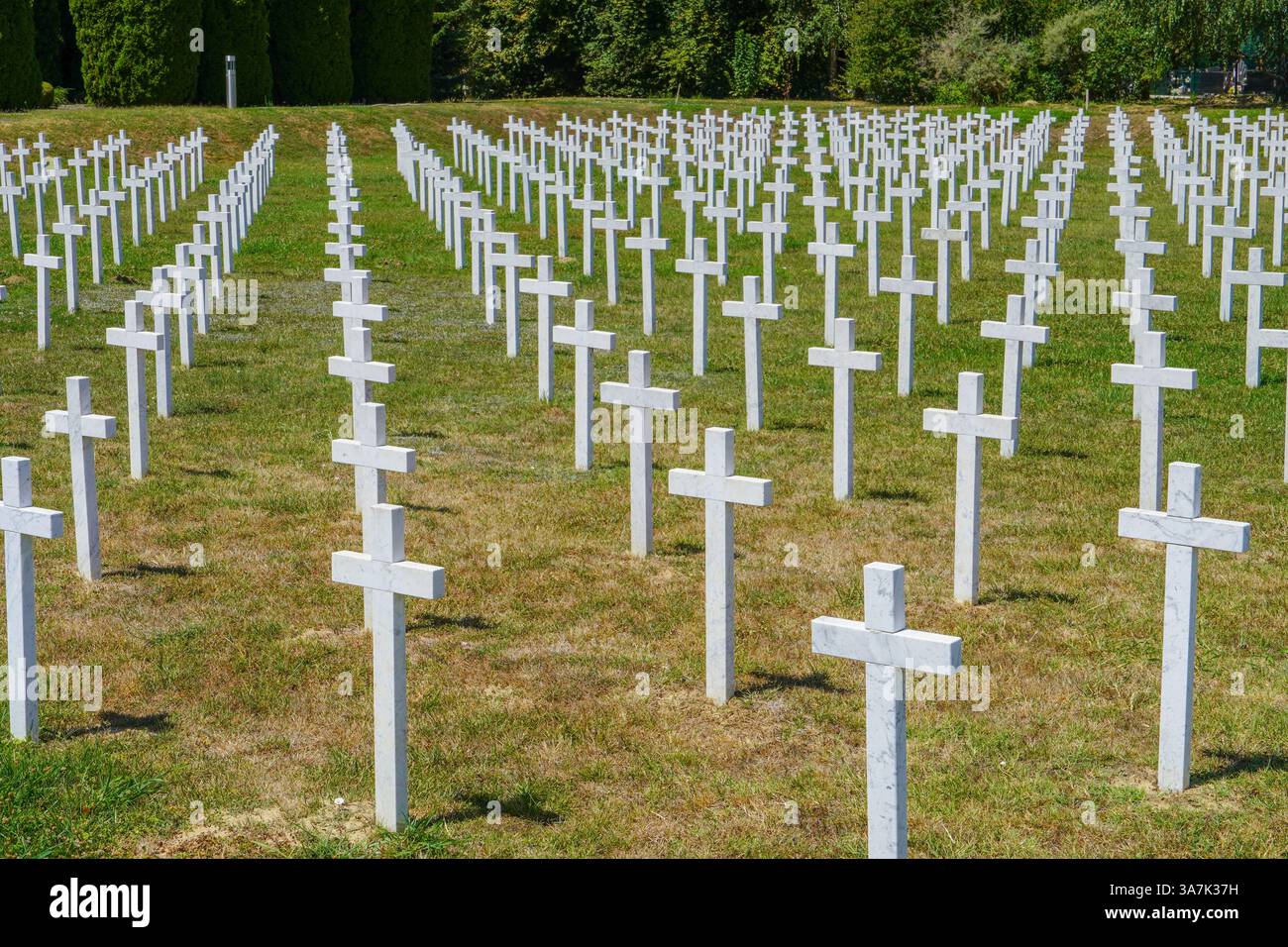Tombres Square nel National Memorial Cemetery of the Victims of Homeland War a Vukovar - Croazia Foto Stock