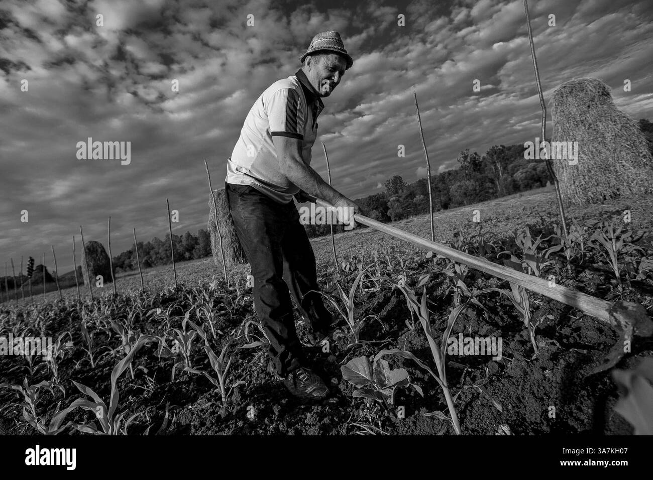 29 maggio 2012 - Maramures, Romania - gli agricoltori si vedono nell'abbigliamento tradizionale rumeno a Maramures. (Immagine di credito: © Elijah Hurwitz/ZUMAPRESS.com) Foto Stock