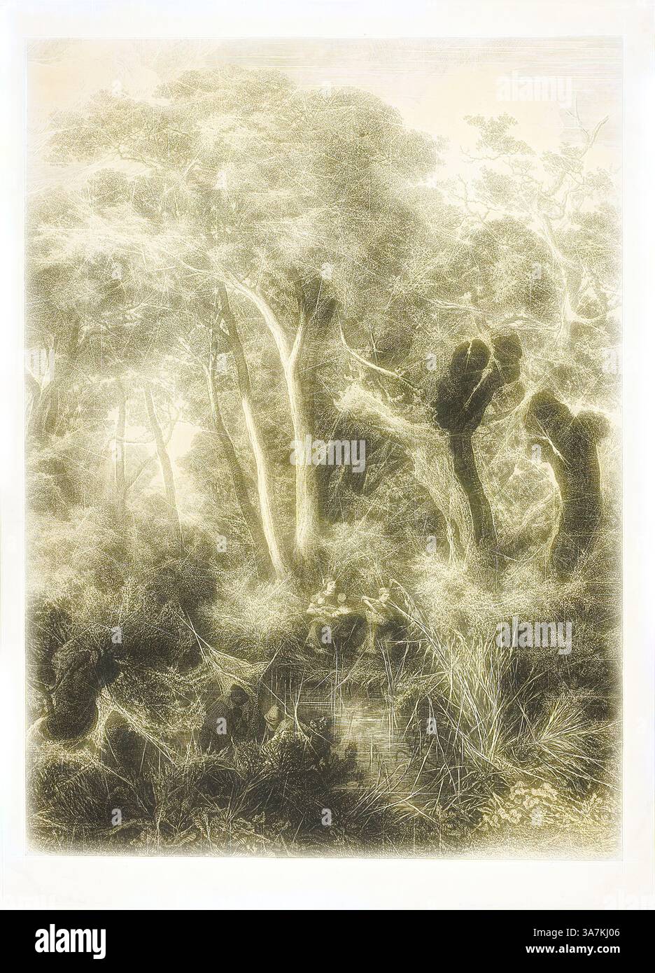 Una tranquilla foresta, caratterizzata da alberi torreggianti con texture intricate e luce solare attenuata che filtra attraverso il fogliame. Un tranquillo ruscello si snoda attraverso il sottobosco, mentre alcuni accenni di fauna selvatica possono essere intravedati nel verde, creando un senso di pacifica solitudine nella natura., arte classica con un tocco moderno reinventata da Artotop, Fishing Family at the Edge of a Stream, 1860, Charles-André Malardot, francese, 1817-1879, Francia, incisione, litotinta faunistica, con roulette, su carta tessuta d'avorio Foto Stock