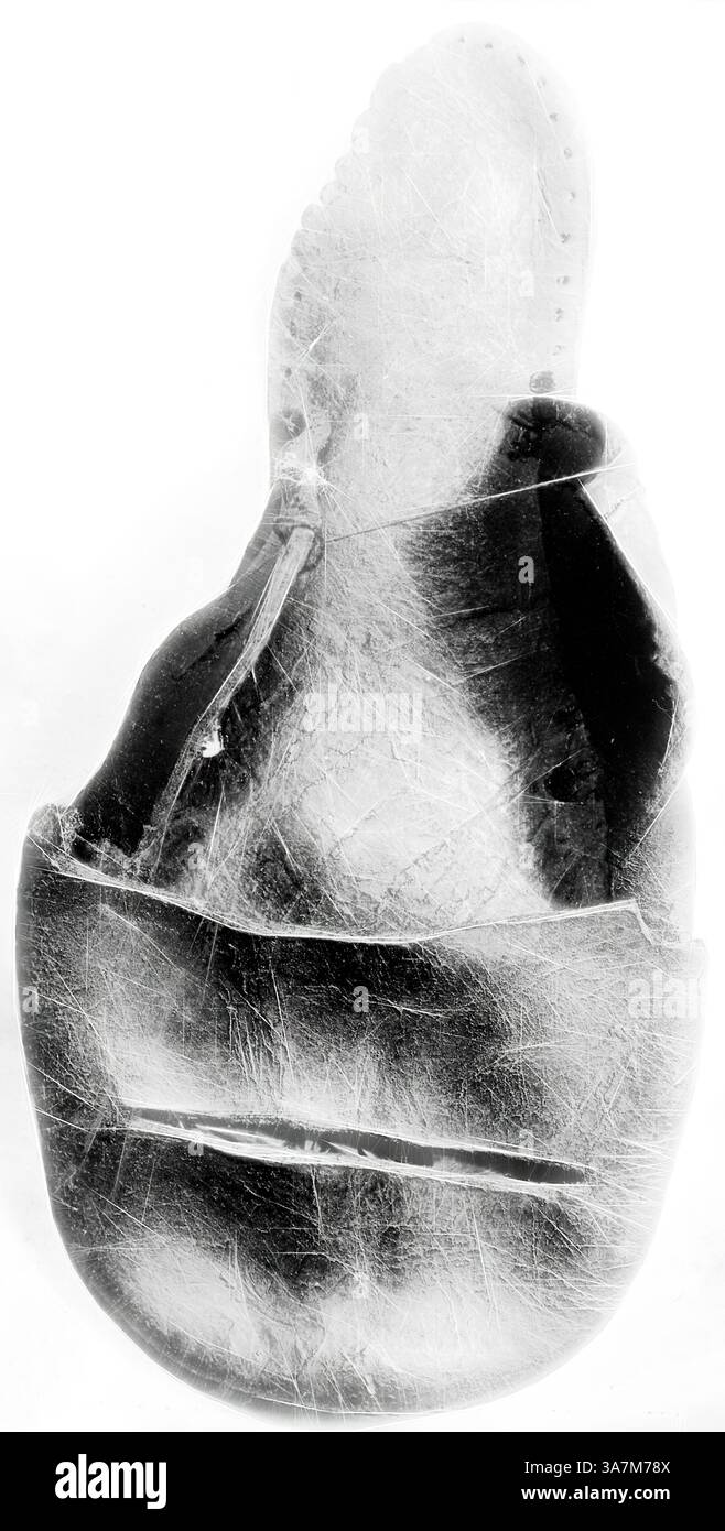 Una scarpa resistente agli agenti atmosferici, che mostra la sua pelle testurizzata e la sua cura artigianale unica, racconta una storia di usura e utilizzo nel tempo. La sua forma curva e i dettagli intricati evidenziano l'arte coinvolta nella sua creazione. Arte classica con un tocco moderno reinventata da Artotop, Toe and Sole of a Shoe, XVI secolo, Inghilterra, trovata a Londra, Inghilterra Foto Stock