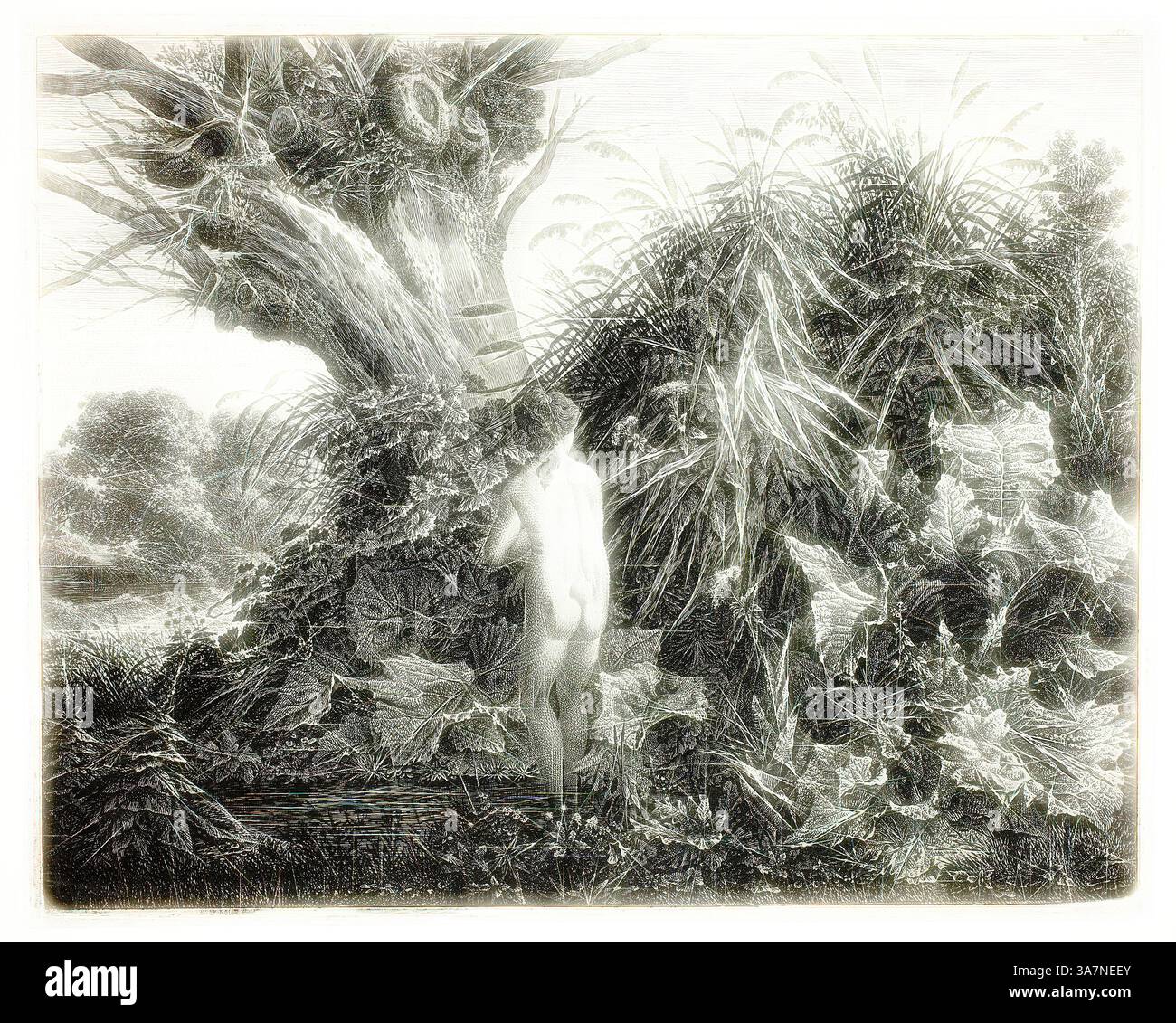 Una figura si erge con cura in mezzo a lussureggianti vegetazione e un albero antico, circondato da una fitta vegetazione che evoca un senso di tranquillità e connessione con la natura. Arte classica con un tocco moderno reinventata da Artotop, Nymph in a Marshy Woodland, 1800, Carl Wilhelm Kolbe, il vecchio, tedesco, 1759-1835, Germania, incisione su carta tessuta avorio Foto Stock