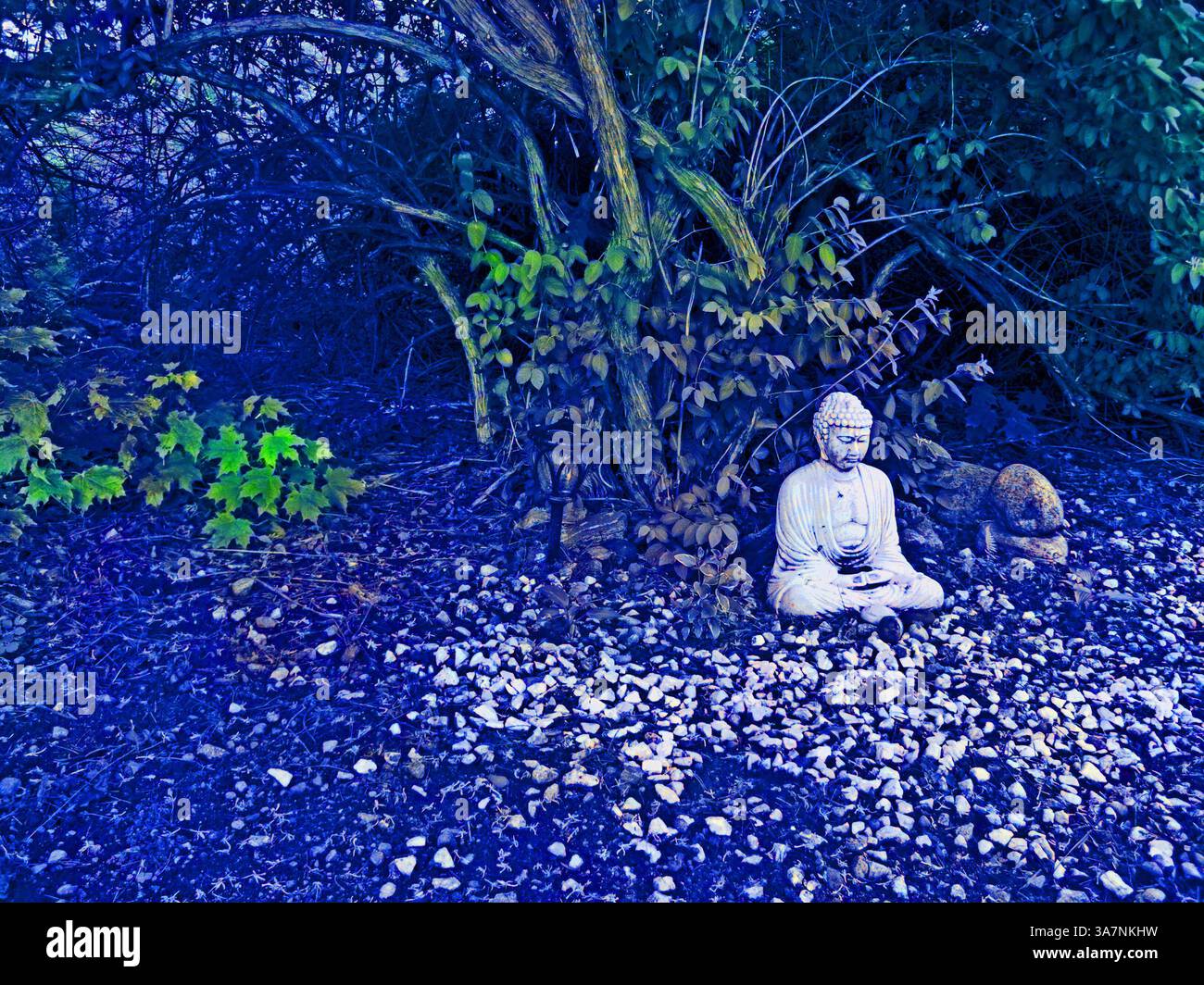 Statua di Buddha seduta in un giardino con petali blu e alberi. Foto Stock