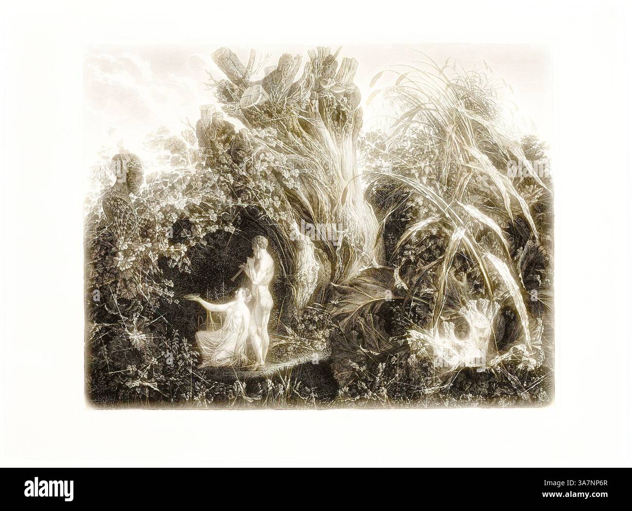 Una scena serena raffigura una figura aggraziata drappeggiata in abiti scorrevoli, circondata da vegetazione lussureggiante e da un fogliame intricato. L'atmosfera eterea è accentuata dal contrasto di luci e ombre, mettendo in risalto la delicata bellezza della natura. Arte classica con un tocco moderno reinventata da Artotop, il sacrificio di Pan, 1808/15, Carl Wilhelm Kolbe, il vecchio, tedesco, 1759-1835, Germania, incisione in nero su carta tessuta avorio Foto Stock