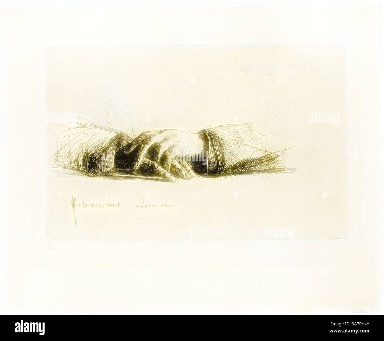 Una mano delicata ed espressiva poggia delicatamente, parzialmente drappeggiata, suggerendo un momento di contemplazione o tranquillità. I dettagli intricati catturano la texture della pelle e del tessuto, evocando un senso di intimità e vulnerabilità., arte classica con un tocco moderno reinventata da Artotop, Hands Folded, 1865, Francis Seymour Haden, inglese, 1818-1910, Inghilterra, incisione con punto di essiccazione su carta posata in avorio Foto Stock