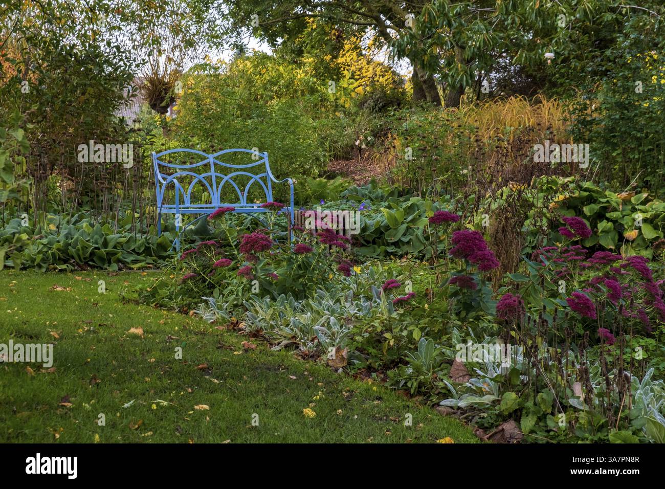 Panca blu e letti perenni autunnali nel giardino educativo del quartiere, giardino dimostrativo e giardino scolastico, Burgsteinfurt, Steinfurt, Muensterl Foto Stock