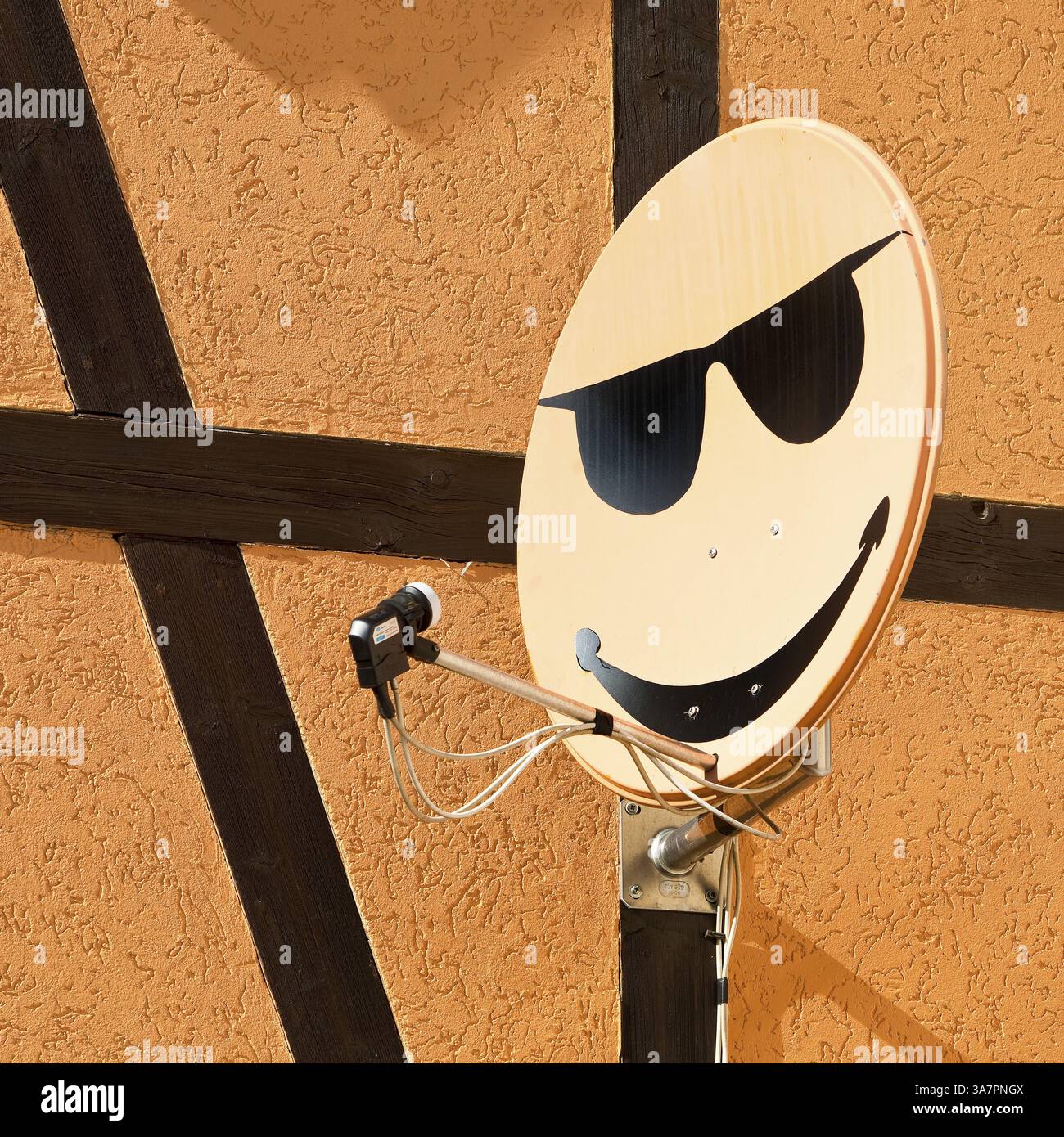 Parabola satellitare con sorriso su un muro di casa a Langenstein, Halberstadt, Sassonia-Anhalt, Germania, Europa Foto Stock