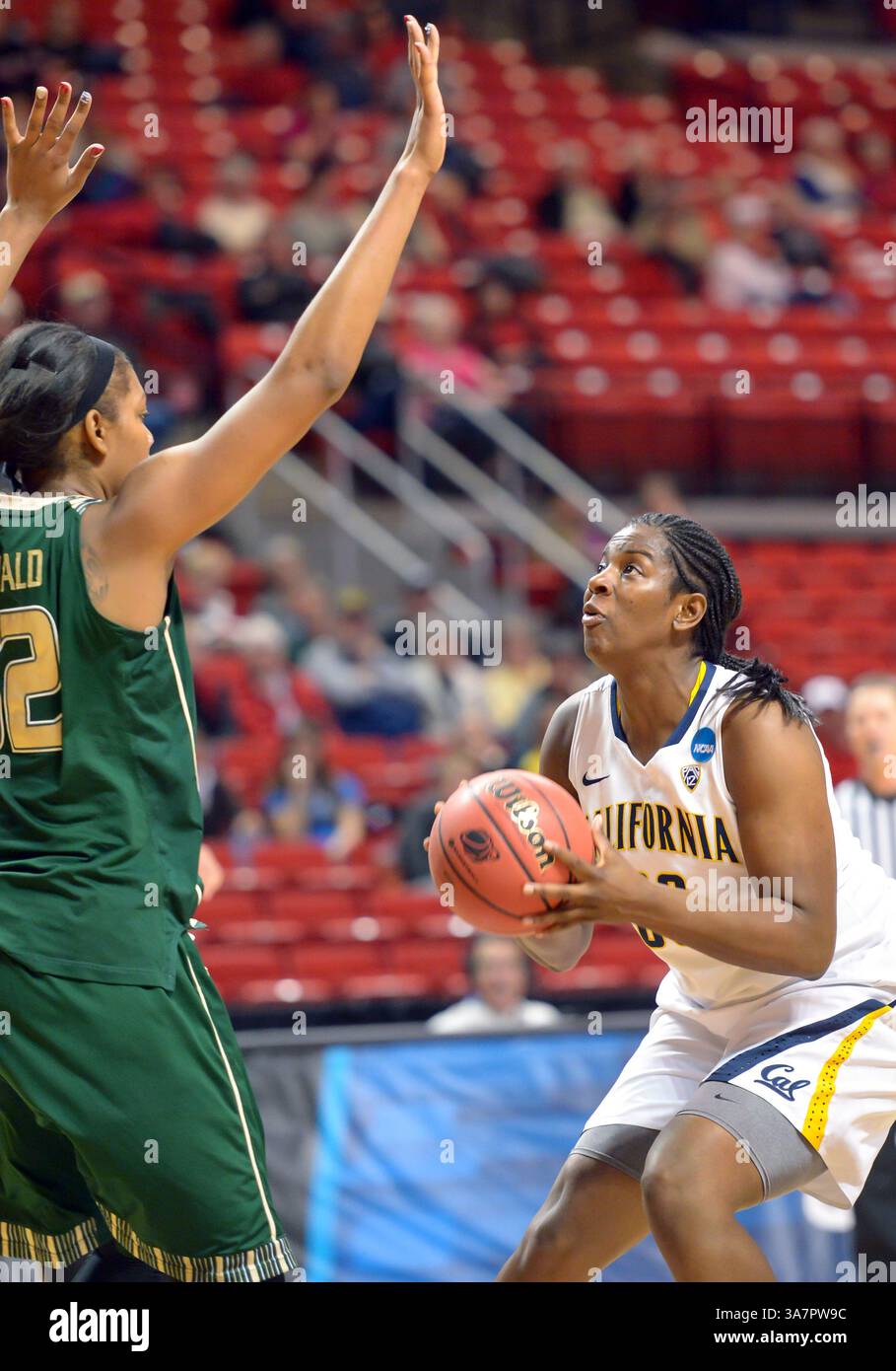25 marzo 2013 - Lubbock, Texas, Stati Uniti - 25 2013 marzo: Centro dei California Golden Bears Talia Caldwell (33) durante la gara del secondo round del campionato di pallacanestro femminile NCAA 2013 tra i South Florida Bulls e i California Golden Bears alla United Spirit Arena di Lubbock, Texas. I California Golden Bears vinsero la partita 82-78 ai tempi supplementari. (Immagine di credito: © John Weast/Cal Sport Media/ZUMAPRESS.com) Foto Stock