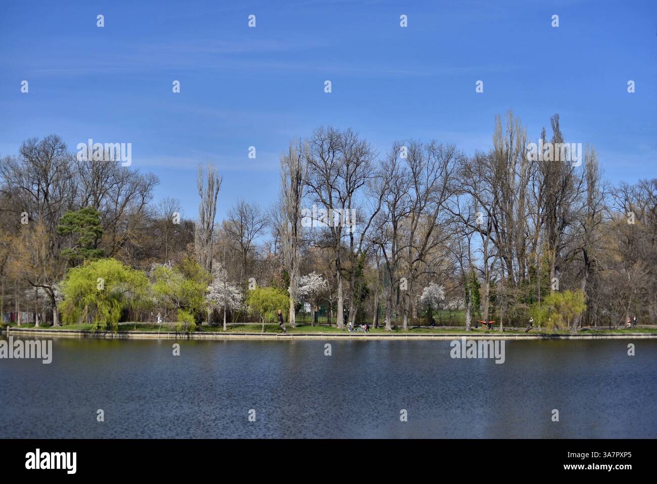 I primi giorni di primavera sulla riva del lago all'Herastrau Park di Bucarest Foto Stock
