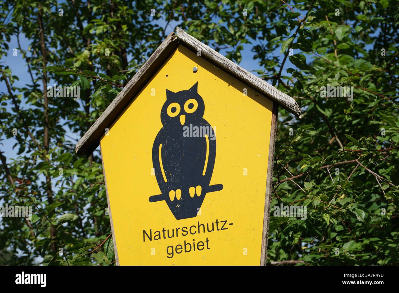 Primo piano di un cartello in lingua tedesca "Naturschutzgebiet", riserva naturale o area di conservazione della natura, con un gufo nero su sfondo giallo in una foresta Foto Stock