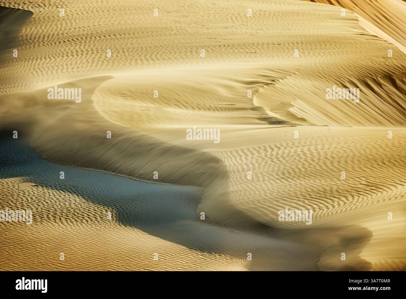 Dune di sabbia con sabbia soffocante. Little Creek Cove, vicino a Newport, sulla costa dell'Oregon. Oregon Foto Stock